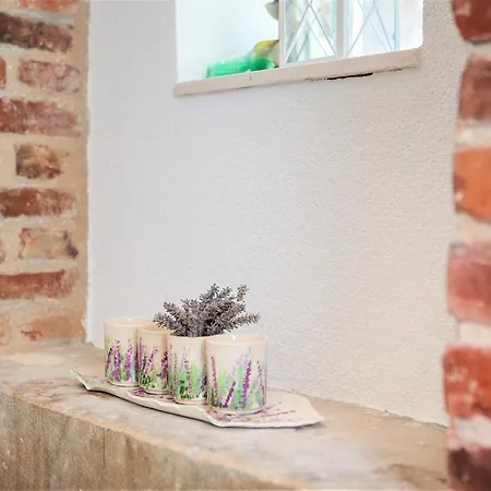 The Palace Collection In Centre Appartement