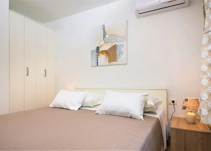 The Palace Collection In Centre Daire